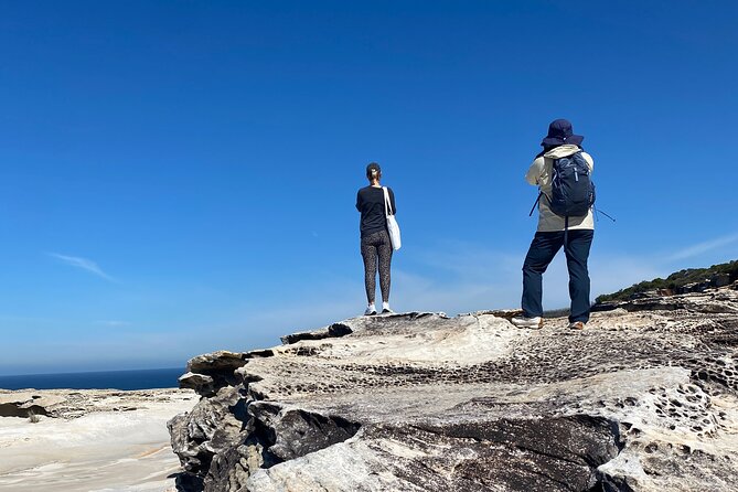 Sydney: Royal National Park Day Trip with Picnic and Swim - Grand Pacific Drive: scenic coastal viewpoints on the way out