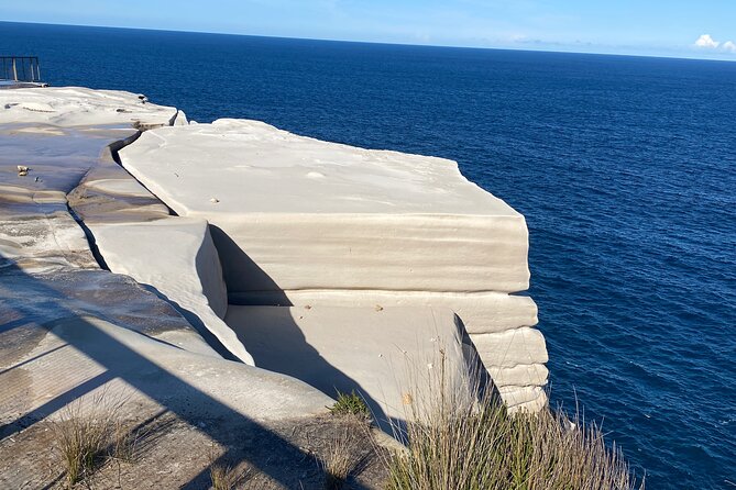 Sydney: Royal National Park Day Trip with Picnic and Swim - Symbio Wildlife Park: the optional koala and marsupial stop