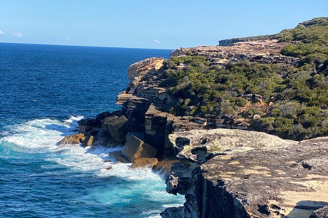 Sydney: Royal National Park Day Trip with Picnic and Swim - Price and value: is $251.04 fair for a full day?