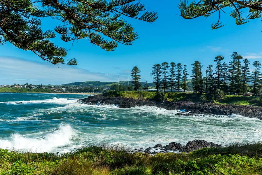 Sydney: Sea Cliff Bridge, Kiama Blowhole and Farmlands Tour - Wildlife spotting: what you can realistically hope to see