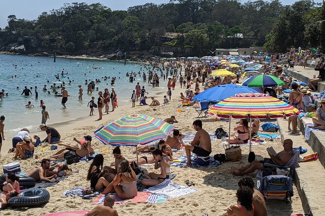 Sydney Secrets and Bondi Beach 4 HOUR AFTERNOON PRIVATE TOUR - Royal Botanic Garden and Art Gallery: A Quick Reset for Your Eyes