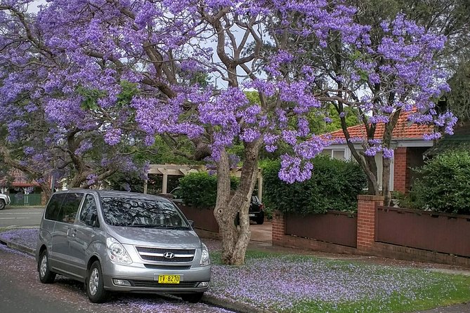 Sydney Secrets and Bondi Beach 4 HOUR MORNING PRIVATE TOUR - Art Gallery of New South Wales and Woolloomooloo Wharf: quick hits with big payoffs