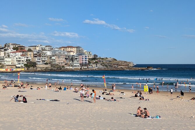Sydney Secrets and Bondi Beach 4 HOUR MORNING PRIVATE TOUR - Shark Beach and Gap Park: chances to spot wildlife from the waterline