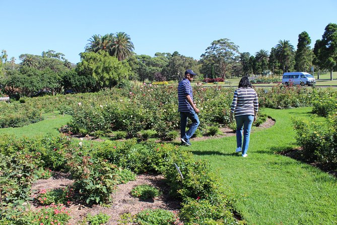 Sydney Shore Excursion: Half-Day Sydney City Highlights and Manly - Key highlights worth planning around