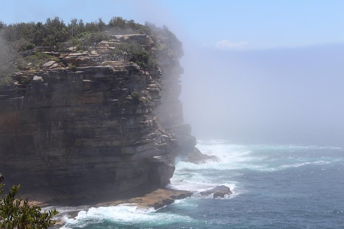Sydney Shore Excursion: Half-Day Sydney City Highlights and Manly - George Street, Queenscliff, and Mosman: neighborhoods without the deep slog