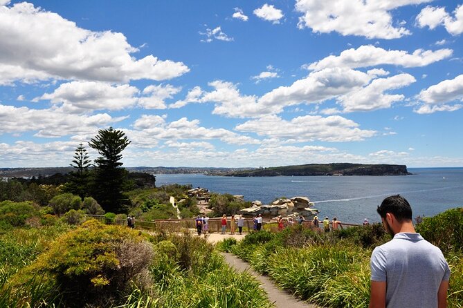Sydney Sightseeing Bus Tour with Local Guide - Key highlights you’ll actually feel