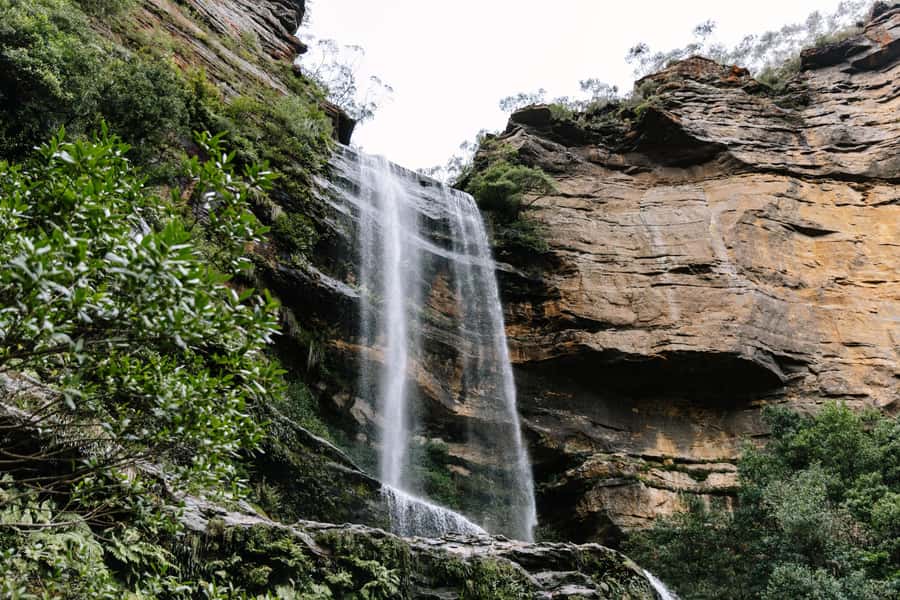 Sydney: Small Group Blue Mountains, Wildlife & Waterfalls - Key highlights worth planning around