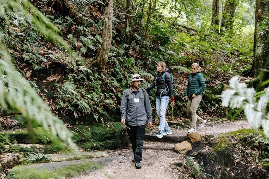 Sydney: Small Group Blue Mountains, Wildlife & Waterfalls - The “small-group” Blue Mountains format that actually works