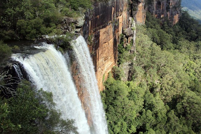 Sydney South Coast to Country Private Tour | Grand Pacific Drive - Kangaroo Valley: A Short Stop, Big “Australia” Energy