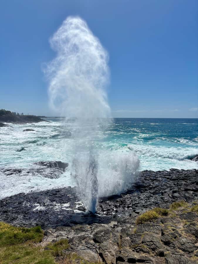 Sydney: Southern Highlands and South Coast Private Tour - Who should book this private Southern Highlands and South Coast day