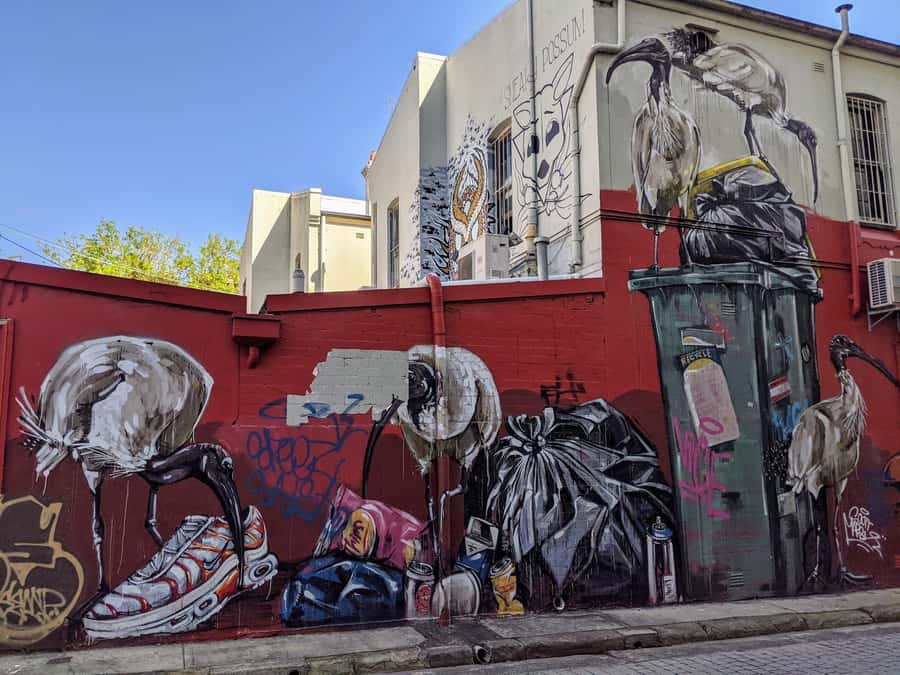 Sydney: Street Art & Small Bar Tour with Complimentary Drink - Key things I think you’ll enjoy most
