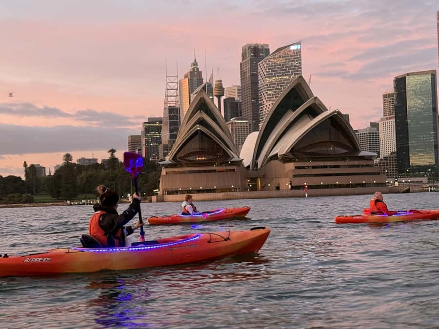 Sydney: Sunrise Kayak, Opera House & Under Harbour Bridge - Breakfast at Flying Bear Cafe: The $20 Credit That Feels Like a Win
