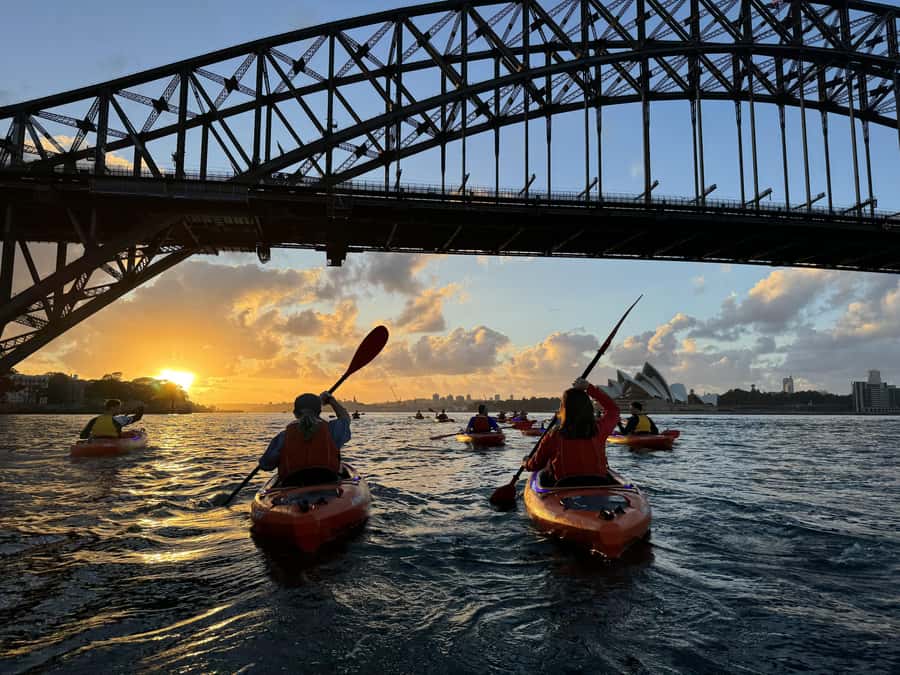 Sydney: Sunrise Kayak, Opera House & Under Harbour Bridge - Group Size, Kayak Mix, and the Pace That Won’t Beat You Up