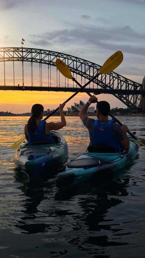 Sydney Sunrise Kayak Tour on Sydney Harbour - Why Sunrise Kayaking on Sydney Harbour Feels Different