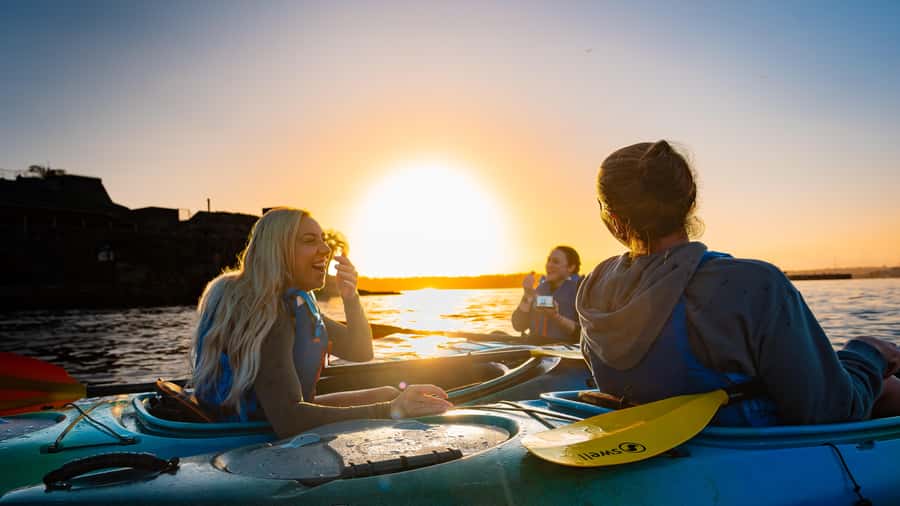 Sydney Sunrise Kayak Tour on Sydney Harbour - What the Tour Feels Like: Guide Stories, Photo Help, and a Fun Pace