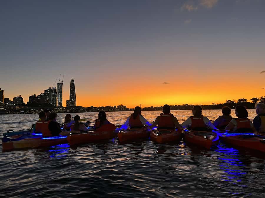 Sydney: Sunset Kayak Tour on Sydney Harbour - Key Reasons This Sunset Kayak Tour Works