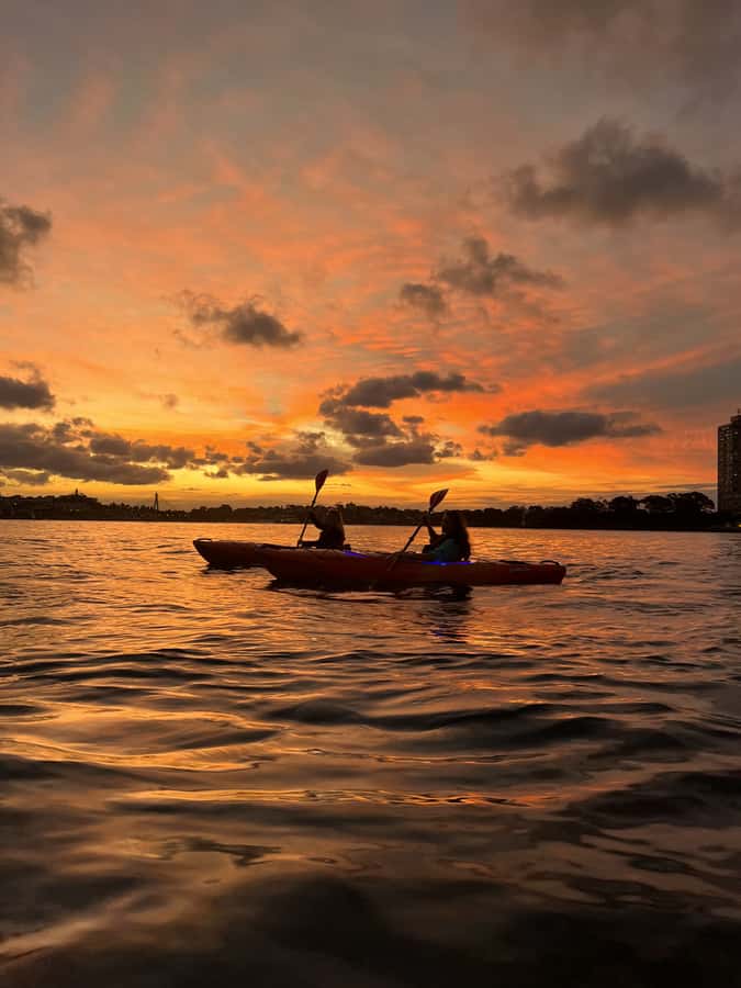Sydney: Sunset Kayak Tour on Sydney Harbour - What the 90 Minutes Feels Like: A Simple Flow You’ll Appreciate