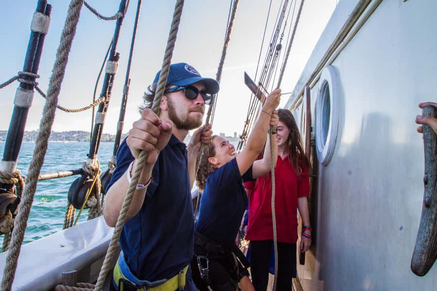 Sydney: Tall Ship Harbour Twilight Dinner Cruise - Hands-on sailing: hoisting sails, steering, and an optional mast climb