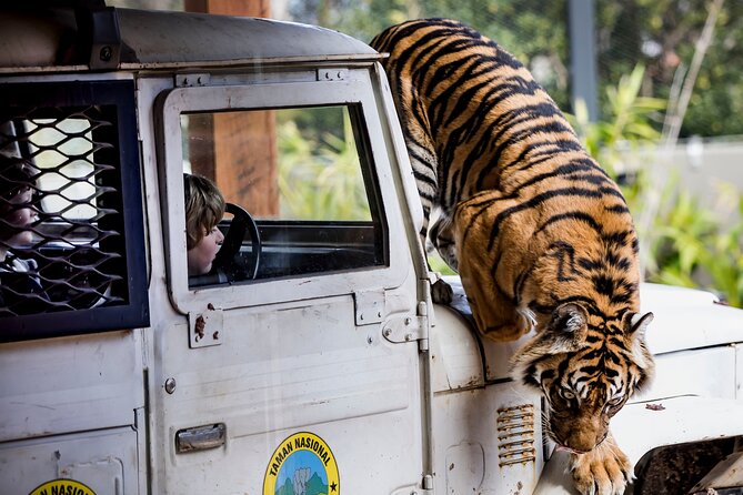Sydney Taronga Zoo General Entry Ticket - The themed zones: where the variety actually shows