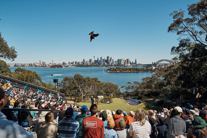 Sydney Taronga Zoo General Entry Ticket - Optional animal encounters: when spending more makes sense