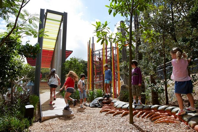 Sydney Taronga Zoo General Entry Ticket - Walking, sun, and the real comfort checklist