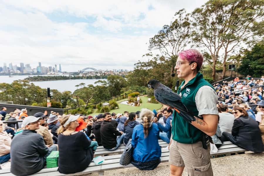 Sydney: Taronga Zoo Tickets - Why Taronga Zoo feels special on Sydney Harbour