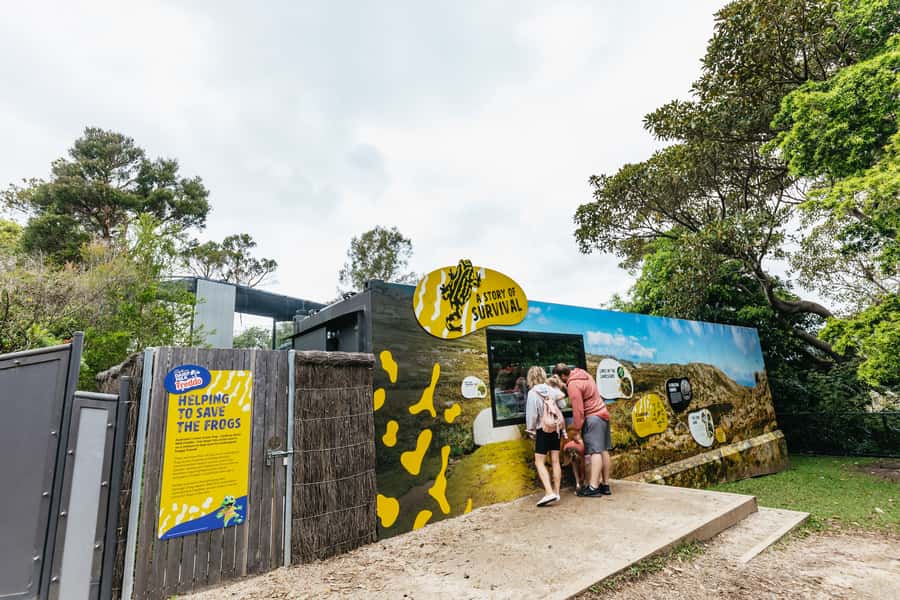 Sydney: Taronga Zoo Tickets - Top trails to prioritize: Walkabout, Reptile World, and Kids’ Trail