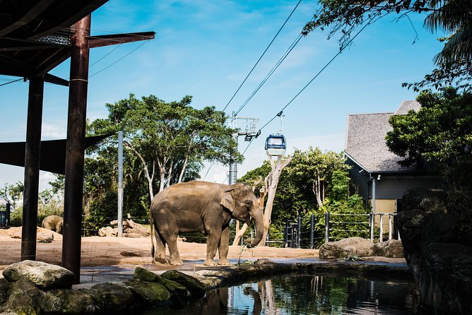 Sydney Taronga Zoo Wild Australia Experience - Key Things You’ll Notice on This Taronga Zoo Tour
