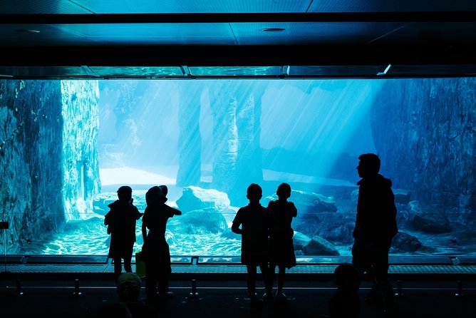 Sydney Taronga Zoo Wild Australia Experience - Australian Nightlife and the Nocturnal House Access