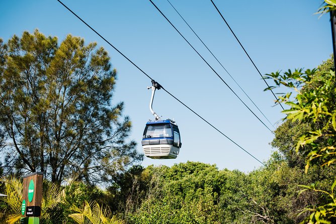 Sydney Taronga Zoo Wild Australia Experience - Price and Value: Is $129.10 a Good Deal?