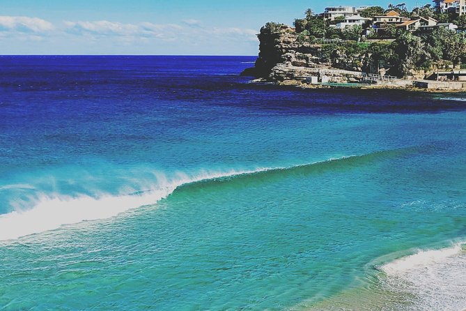 Sydney, The Rocks, Watsons Bay, Bondi Beach FULL DAY PRIVATE TOUR - Shark Beach, Camp Cove, and the harbour coves that feel like a secret
