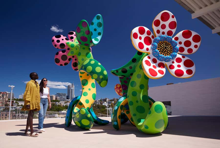 Sydney: Tickets & Tours at Art Gallery of New South Wales - Quick highlights before you go