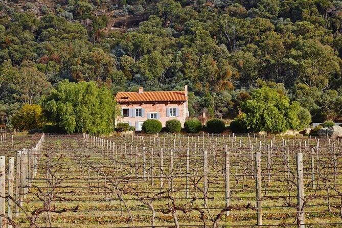 Sydney to Hunter Valley Wine Tour | Gin, Lunch, Chocolatier Visit - Price and value: what you get for $200.11