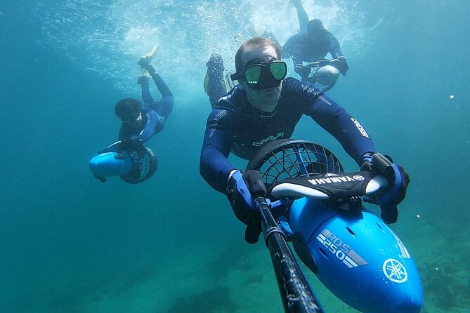 sydney underwater scooter tours - Key things that make this tour work