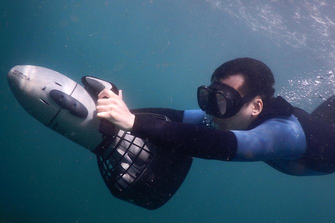 sydney underwater scooter tours - Who should book this (and who should skip it)
