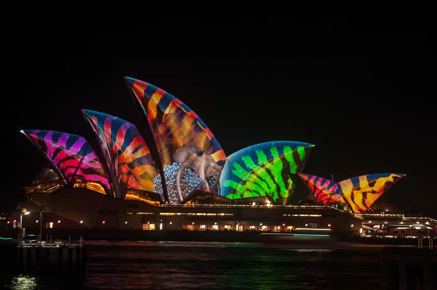 Sydney: Vivid Festival of Light Harbor Cruise with Dinner - Buffet dinner and the welcome drink: real value math