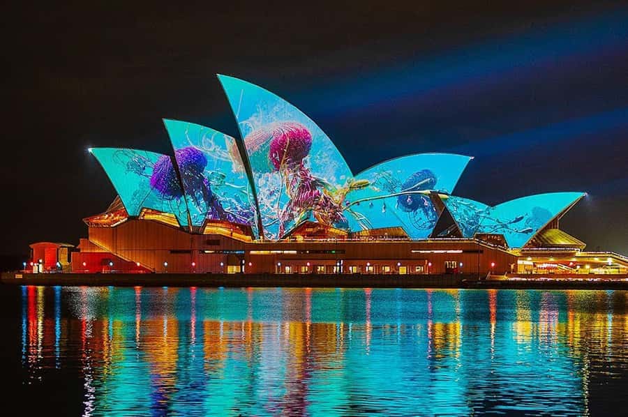 Sydney: Vivid Harbour Cruise with Canapes - Arriving at Pier 2, Walsh Bay without losing your spot