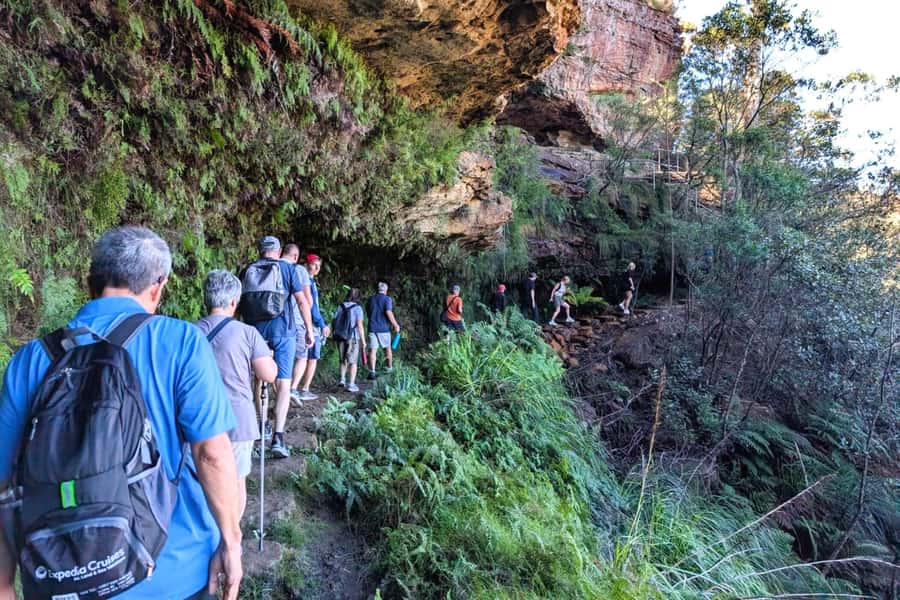 Sydney: Waterfall Bushwalk and Blue Mountain Sunset Day Trip - Late start and fewer crowds: why the timing matters