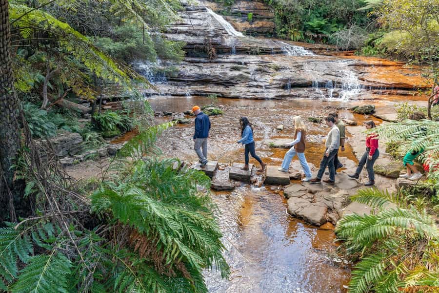 Sydney: Waterfall Bushwalk and Blue Mountain Sunset Day Trip - Wentworth Falls hike: what you’ll feel in your legs