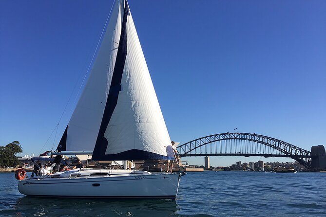 Sydney Whale Watching Cruise from Circular Quay - Price and value: is $68.14 worth it?