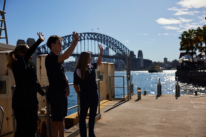 Sydney Whale-Watching Cruise Including Lunch or Breakfast - What the 4-Hour Schedule Really Feels Like
