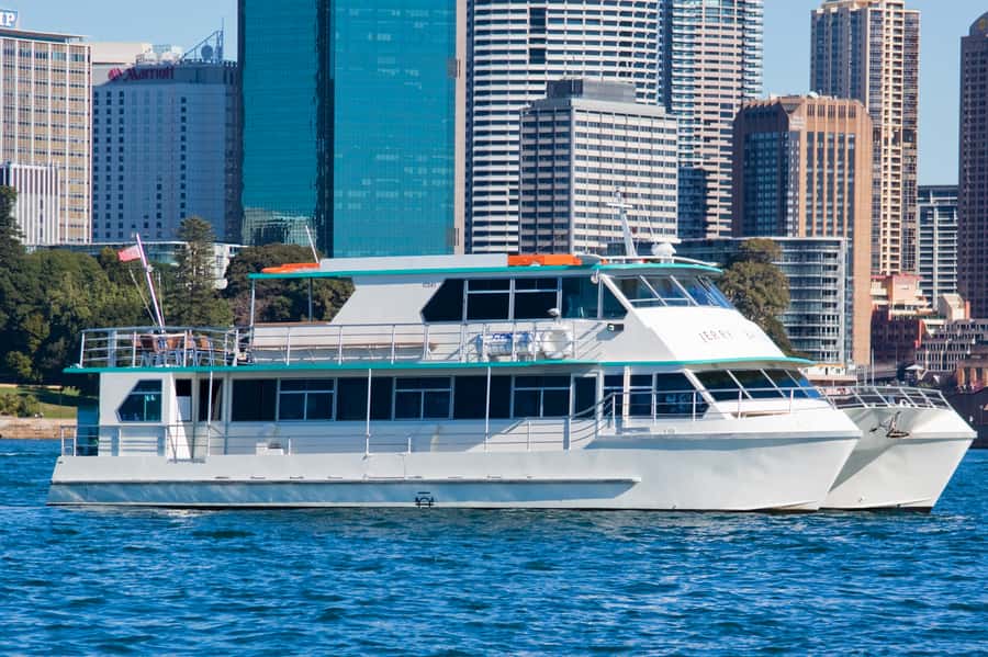 Sydney Whale Watching Cruise with Breakfast or Lunch - Price and value: is $70 per person worth a four-hour cruise?