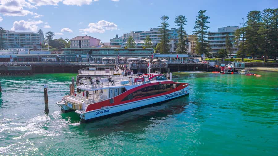 Sydney: Whale Watching & Hop On Hop Off Cruise Package - Practical Tips That Follow From the Info You’re Given