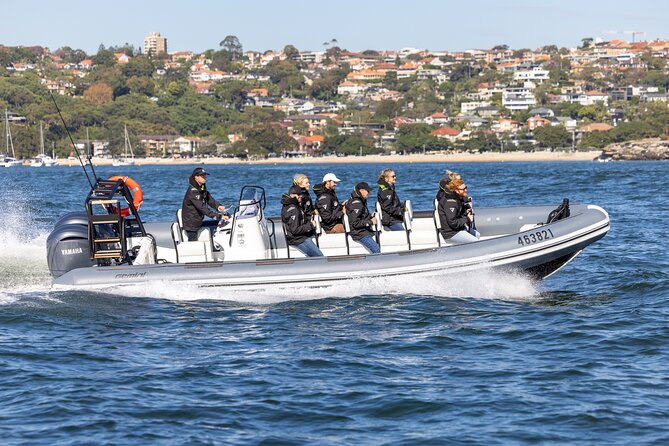 Sydney Whale Watching on Small RIB - Key points you’ll care about