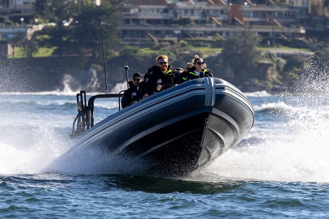 Sydney Whale Watching on Small RIB - The run to Sydney Heads: why speed matters on a RIB