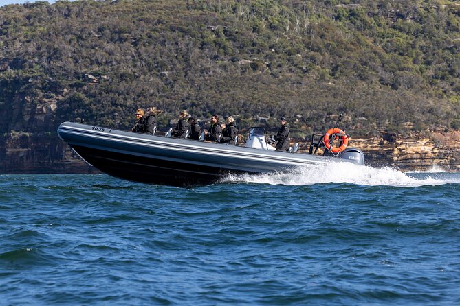 Sydney Whale Watching on Small RIB - How the 12-passenger limit changes your sightlines