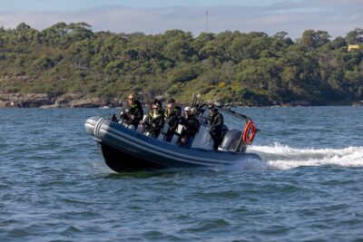 Sydney Whale Watching on Small RIB - The 85-minute whale search: what you’re watching for