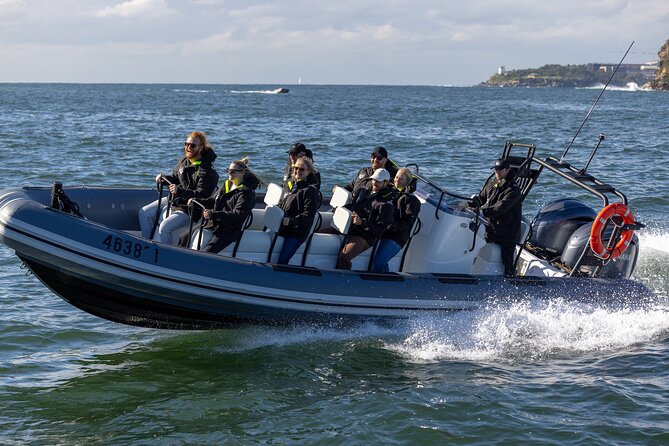 Sydney Whale Watching on Small RIB - Return trip to Circular Quay: coastline time on the way back