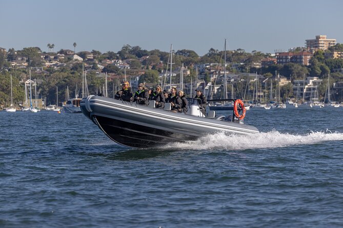 Sydney Whale Watching on Small RIB - Price and value: what $98.93 buys you in real experience