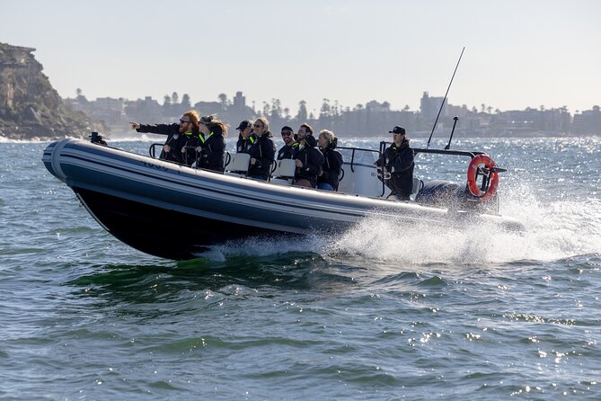 Sydney Whale Watching on Small RIB - Who this small-RIB whale watch is best for